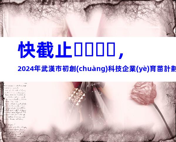 快截止，2024年武漢市初創(chuàng)科技企業(yè)育苗計劃申報條件、相關(guān)內(nèi)容